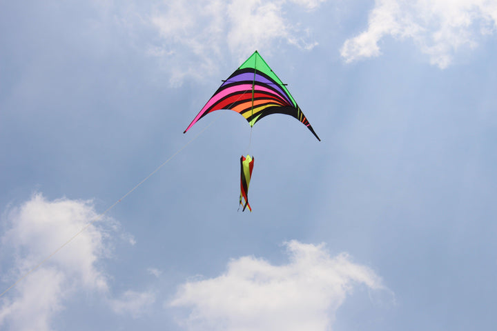 Easy to Fly Kites
