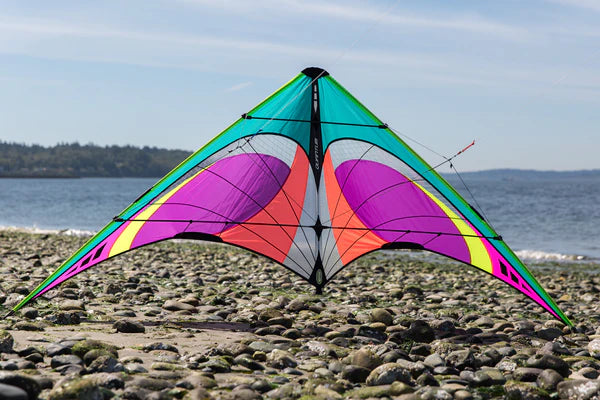 Kites for Adults