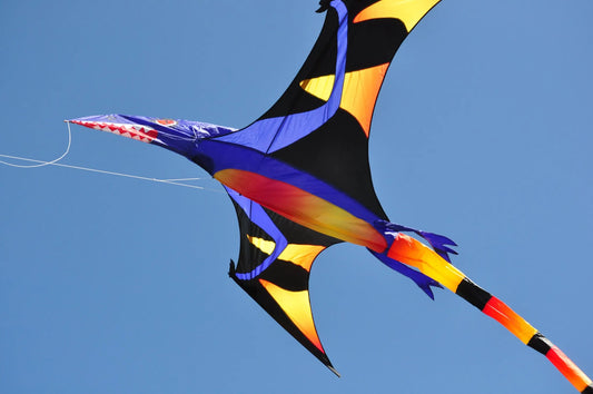 Pterodactyl Kite - Flapping Black Wing