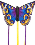 20" Butterfly Kite "R" - Buckeye