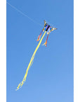 20" Butterfly Kite "R" - Buckeye