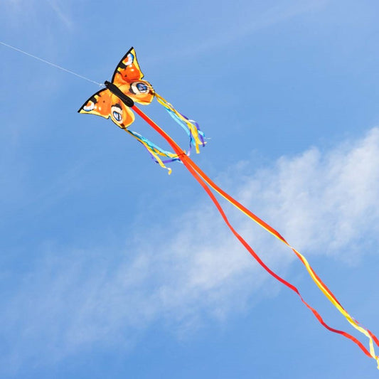 20" Butterfly Kite "R" - Peacock