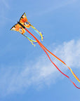 20" Butterfly Kite "R" - Peacock