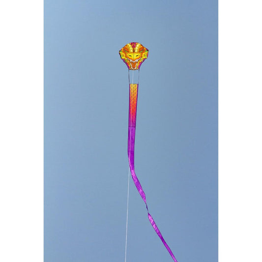 32' Dragonhead Kite