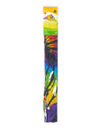 2M Delta Kite - Rainbow Rider