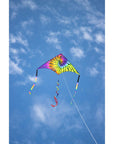 2M Delta Kite - Rainbow Rider
