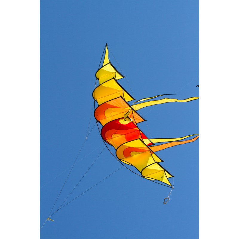 Hoffmann's Bowkite Sunrise