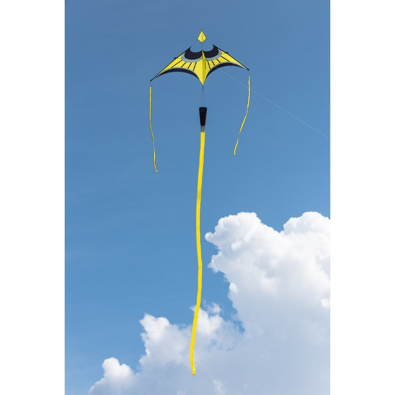 Hoffmann's Canard Delta - Small/Yellow