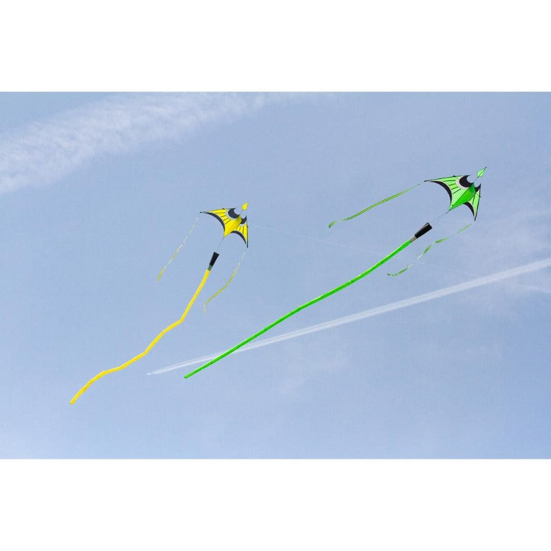 Hoffmann's Canard Delta - Large/Lime