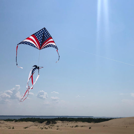 6.5 Foot Festive Sky Delta Kite Package - PATRIOTIC