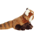 Aurora - Miyoni - 13" Red Panda Cub
