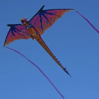 10ft Dragon Sky Giant Kite