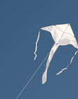 In the Breeze Solid Color Fly-Hi Kites - White