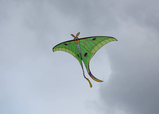 140" Luna Moth Kite
