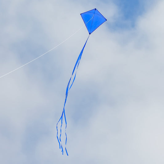 30" Solid Diamond Kite - Blue