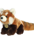 Aurora - Miyoni - 13" Red Panda Cub