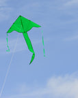 In the Breeze Solid Color Fly-Hi Kites - Green