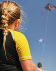 Azor WindDelta Kite