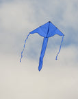 In the Breeze Solid Color Fly-Hi Kites - Blue