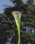 147" King Cobra RainForest Kite