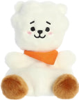 Aurora 5" Palm Pals - BT21 RJ