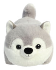 Aurora - Spudsters - 10" Haze Husky