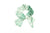 GREEN PALM LEOPARD
