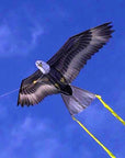 Supersized Bird of Prey - 70" Eagle Kite