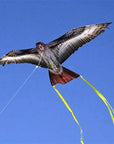 Supersized Bird of Prey - 70" Hawk Kite