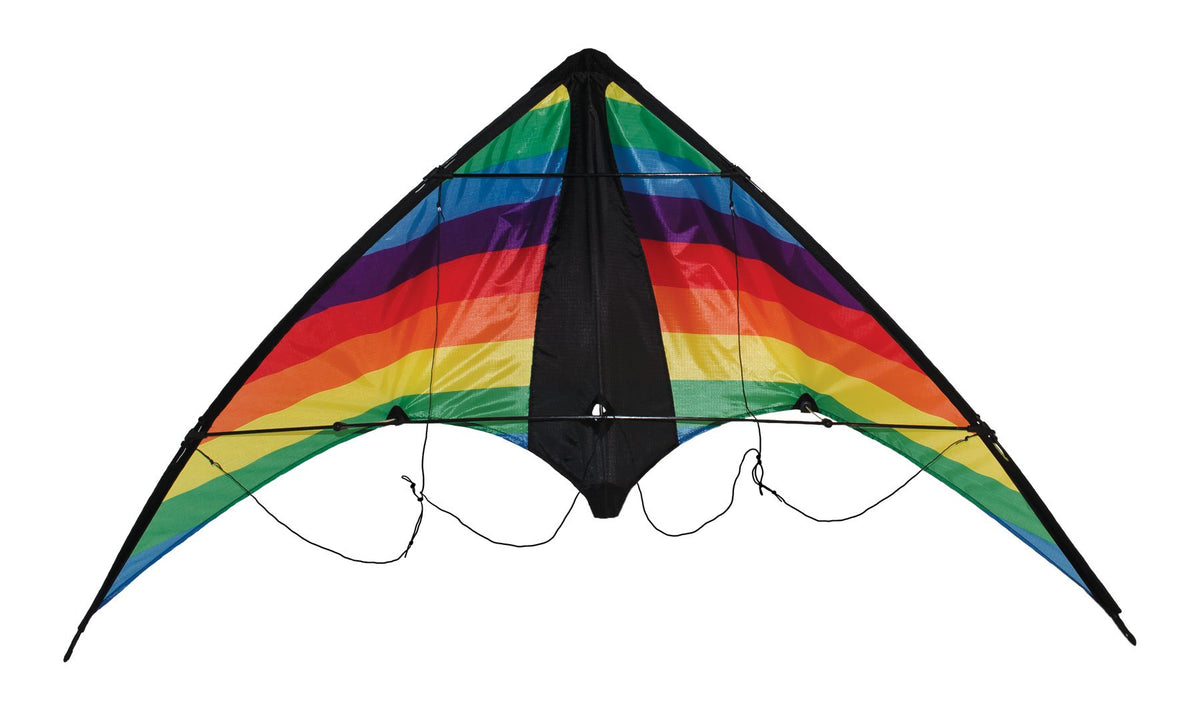 リネ・タトウィラー、【A Great Day to Fly A Kite】 2Pcs Big Delta Kite with 262.5ft Kite String, Red & Green
