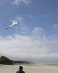 Dolphin Fly-Hi Delta Kite