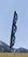 Neptune
