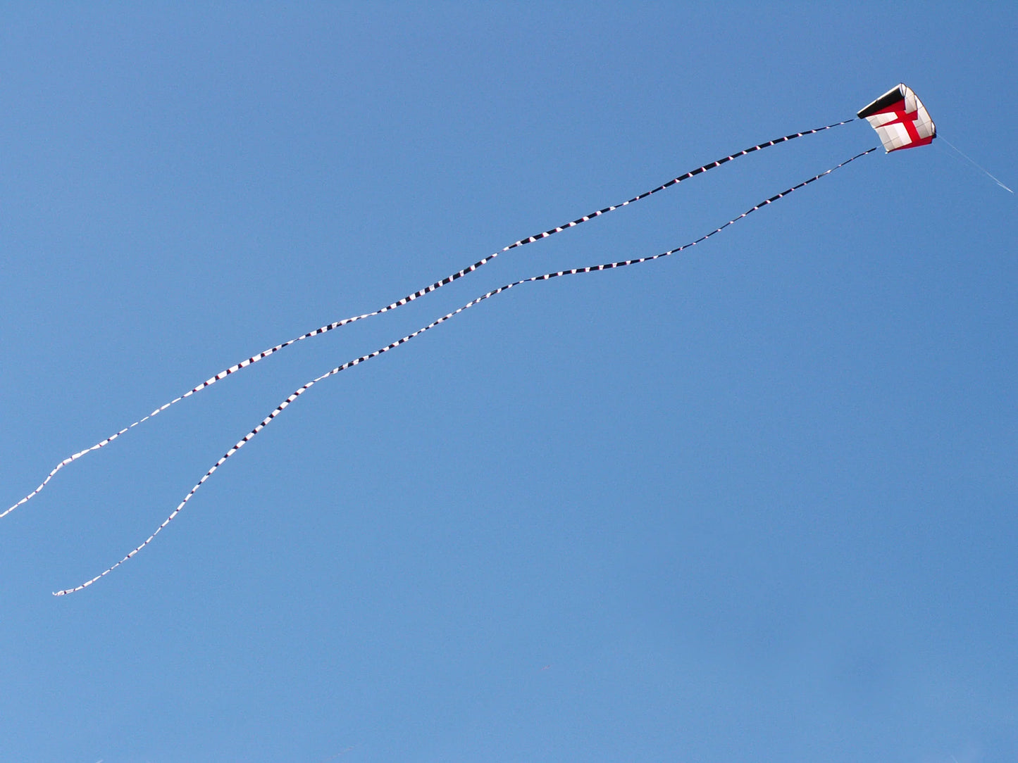 5in. X 100ft Transition Tail - Black/White