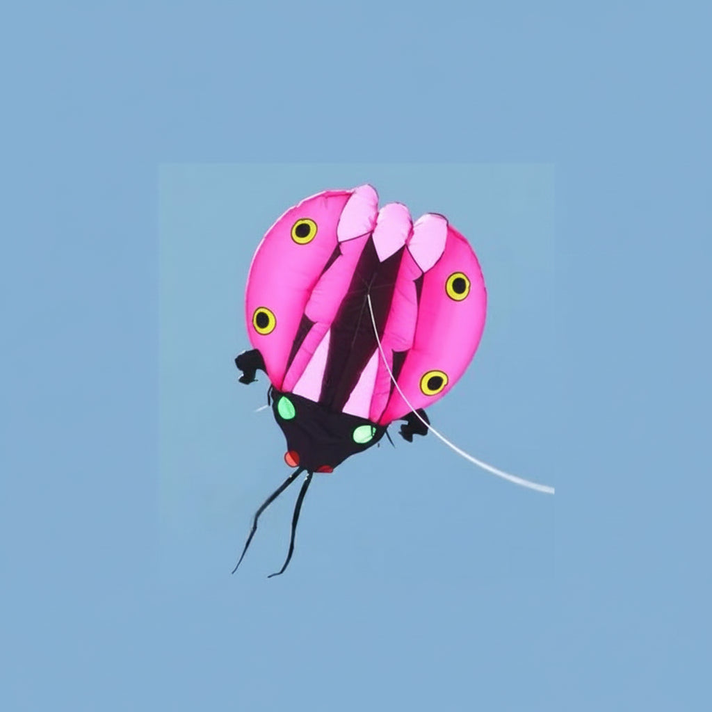 5m Inflatable Ladybug - Pink