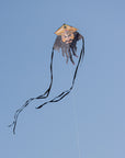 81" Blackbeard Supersized Kite