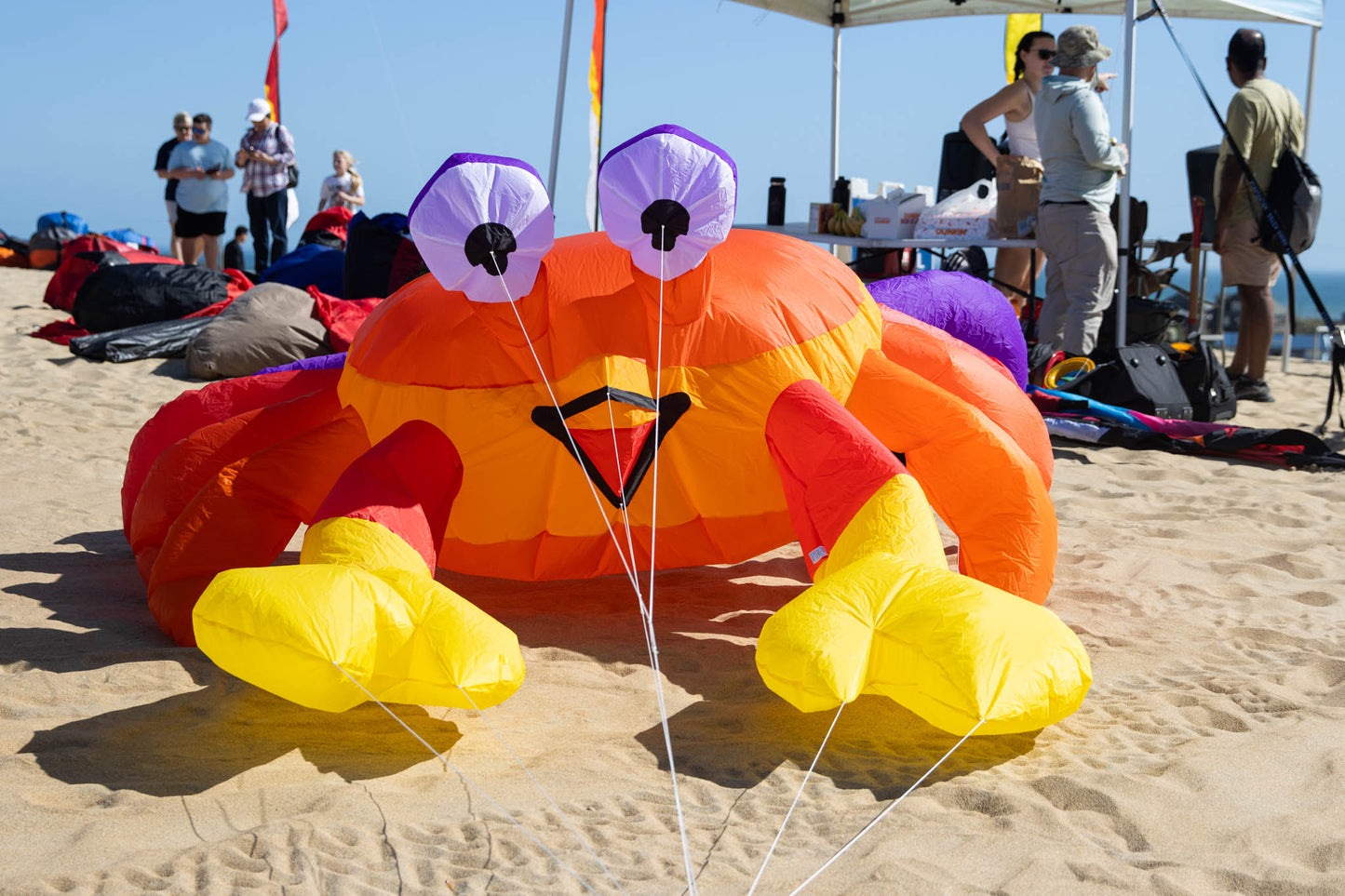 Large 3M Billy the Bouncing Crab - Sunset