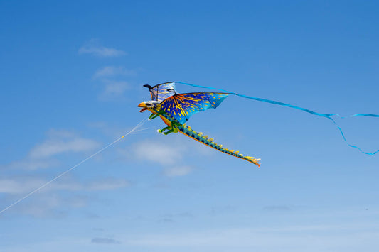 3-D Dragon Kite