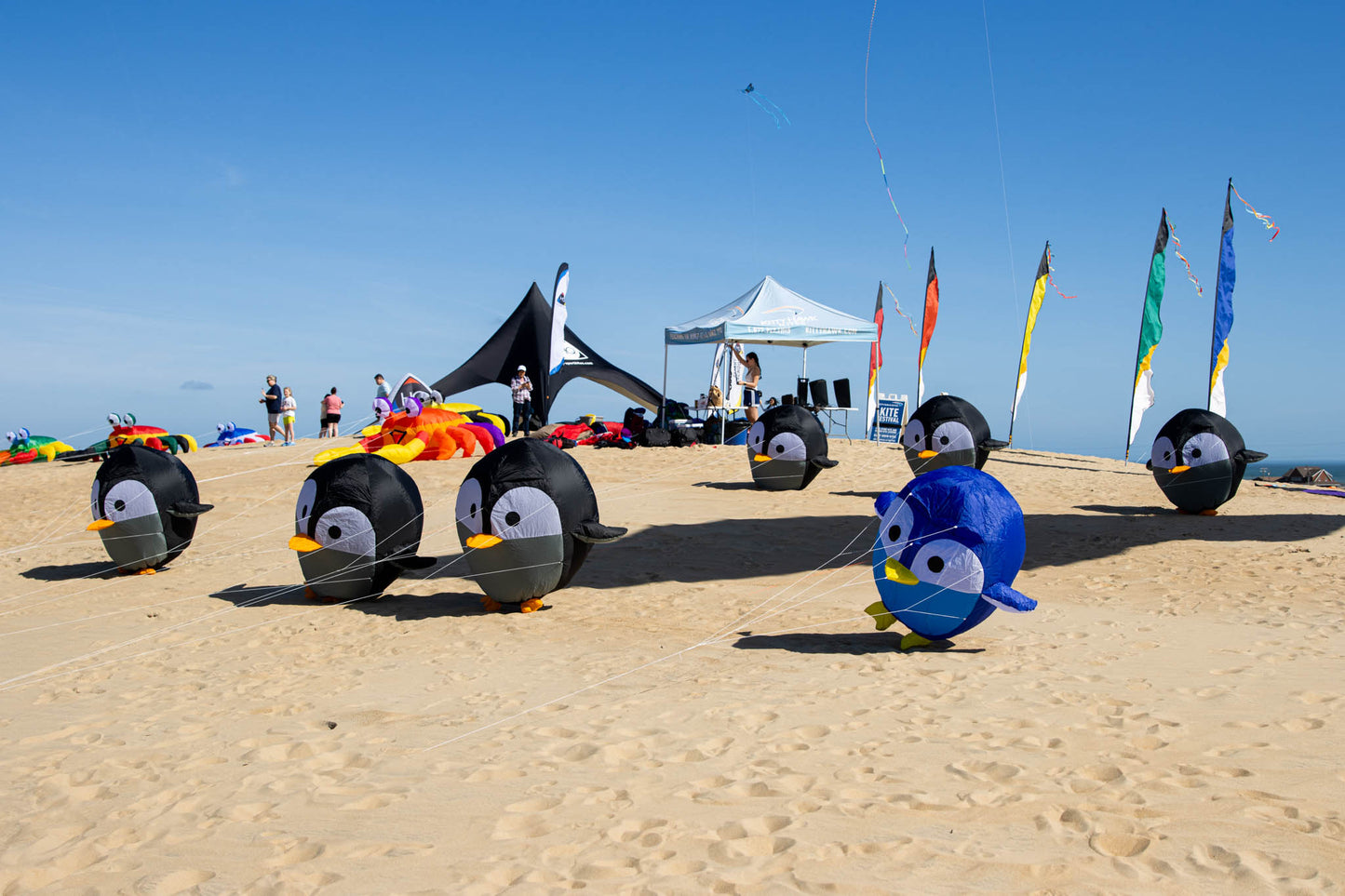 39" Bouncing Birdeez XL - Penguin