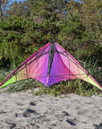 Jazz 2.0 Dual Line Stunt Kite - Plasma