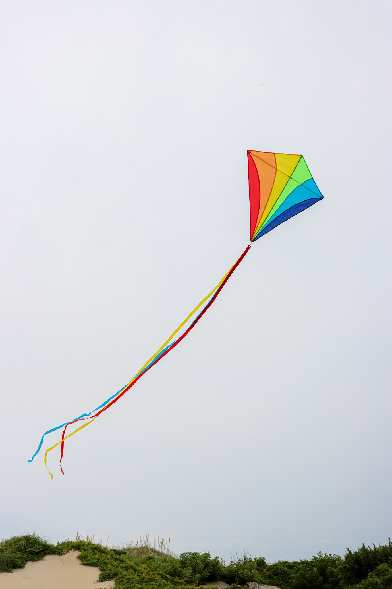 Classic Rainbow 30 Inch Diamond Kite