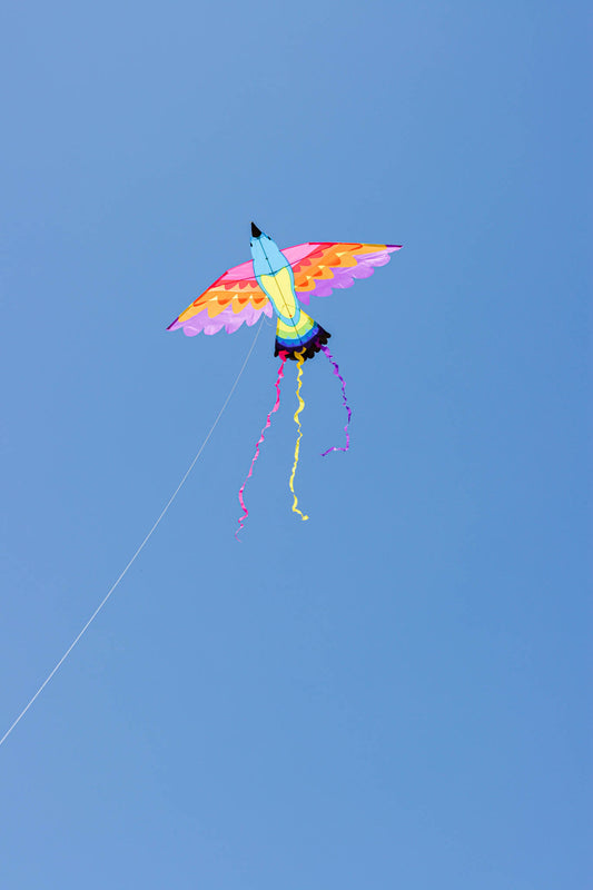 Paradise Bird Kite