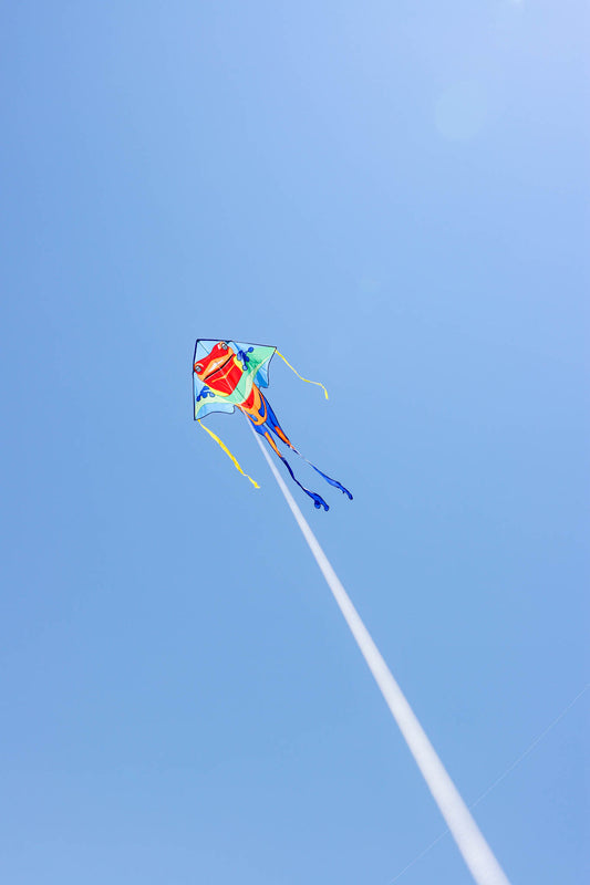 64" Jumbo Easy Flyer Kite - Poison Dart Frog