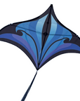 Swift Delta by Spiderkites - Aqua/Violet