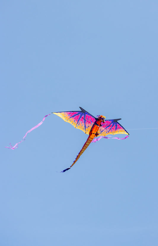 10ft Dragon Sky Giant Kite