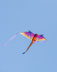 10ft Dragon Sky Giant Kite