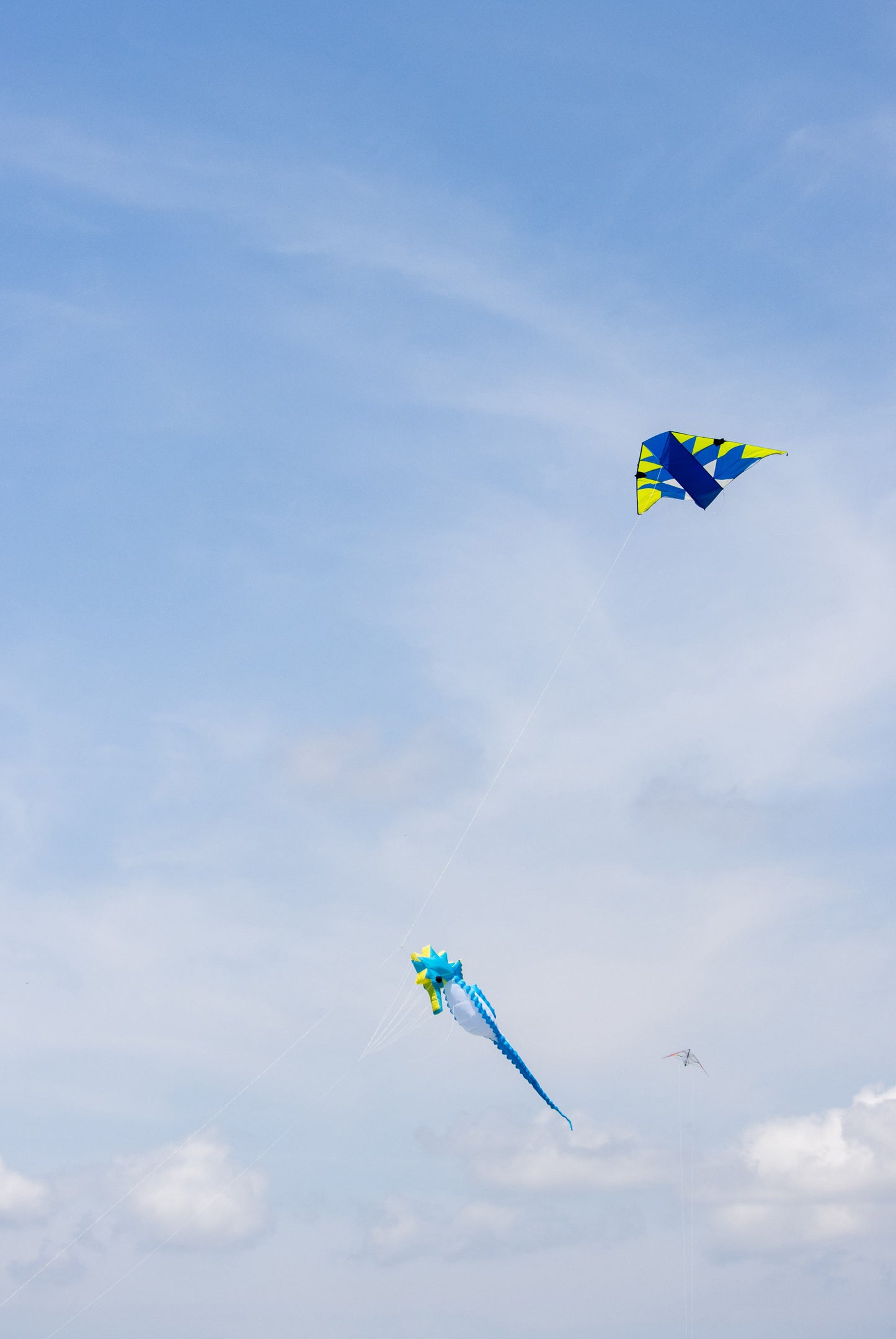 5m Inflatable Seahorse - Blue