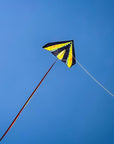 48" Delta Kite - Tie Dye