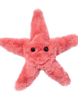 Douglas Coral Starfish