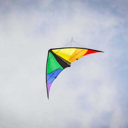48" Colorwave Sport Kite