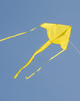 In the Breeze Solid Color Fly-Hi Kites - Yellow